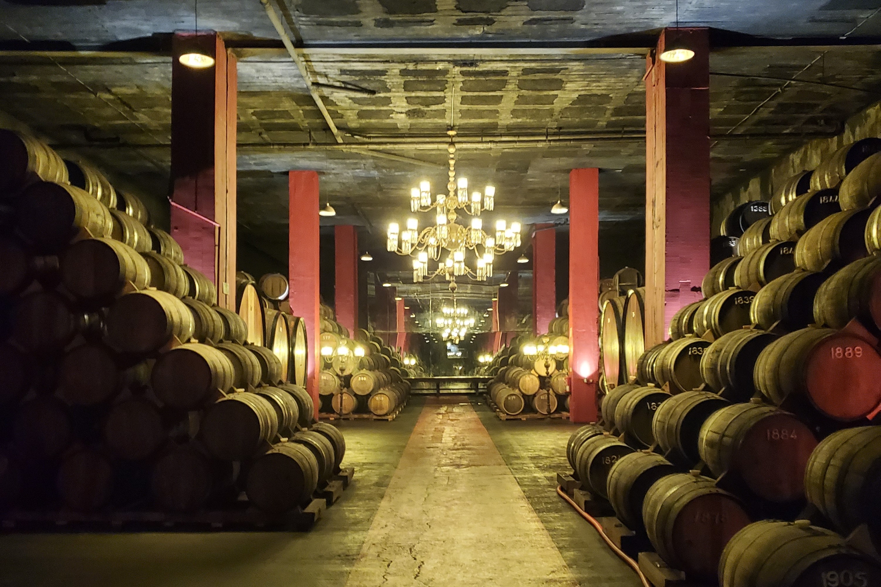 Bairrada Full-Day Premium Tour: Cellars, DOC Wines, Sabrage & Roast Suckling Pig