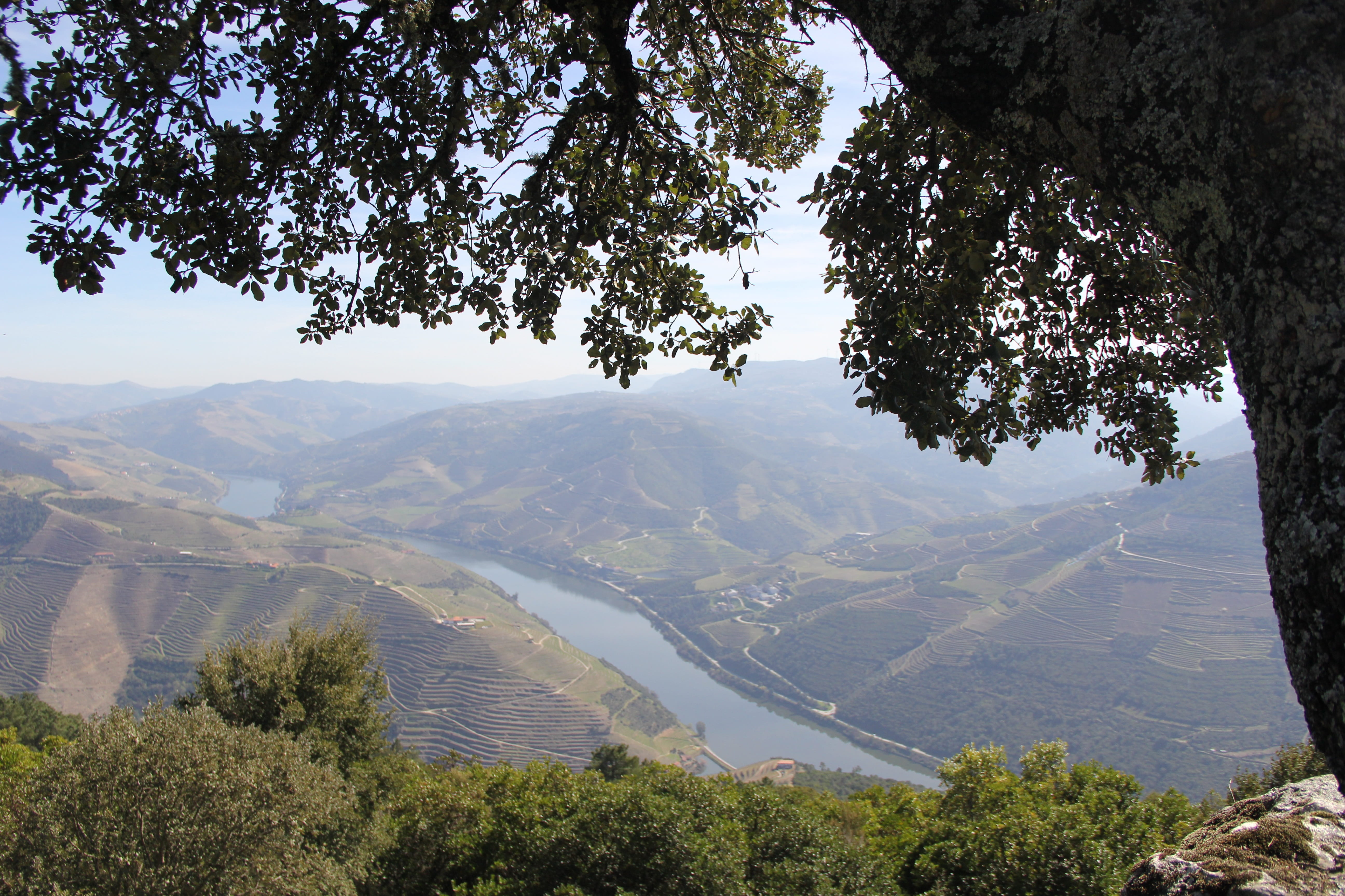 Douro