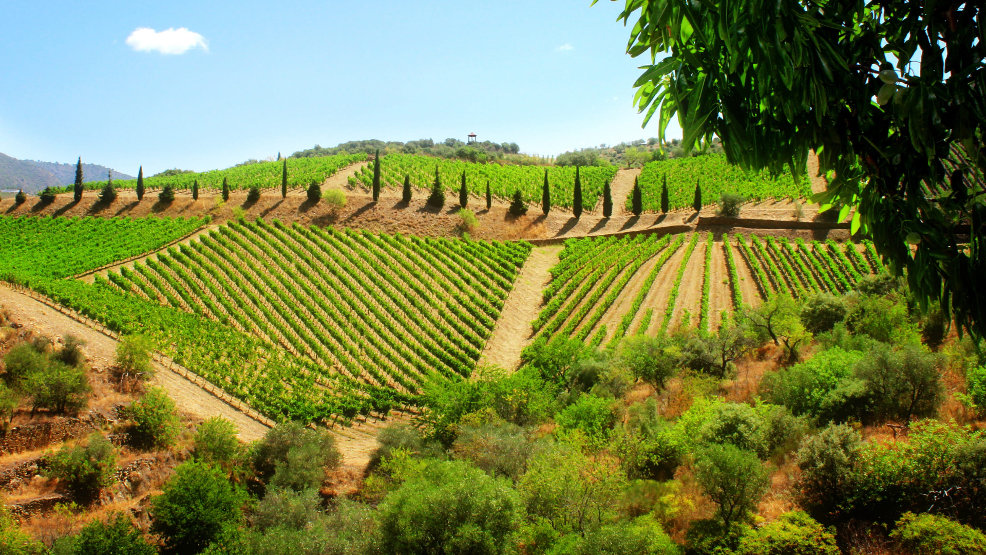 Douro